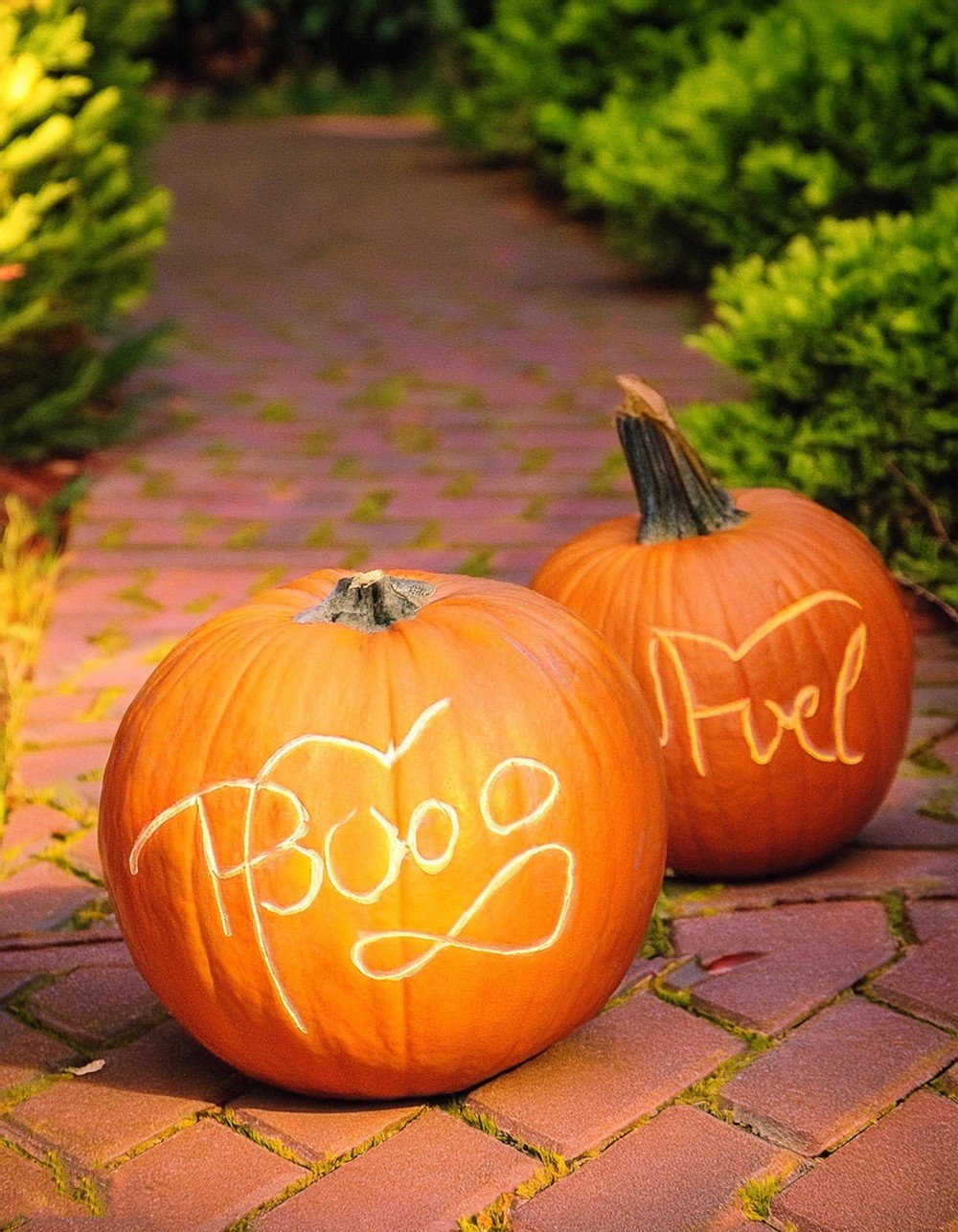 Captivate and Impress Guests with Calligraphy Pumpkins