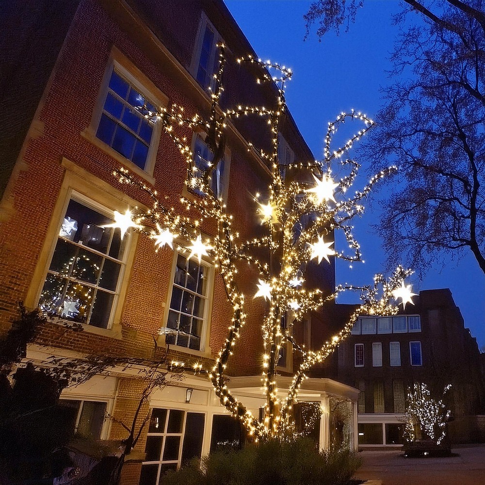 Create a Christmas Light Tree with Lit Up Star Ornaments
