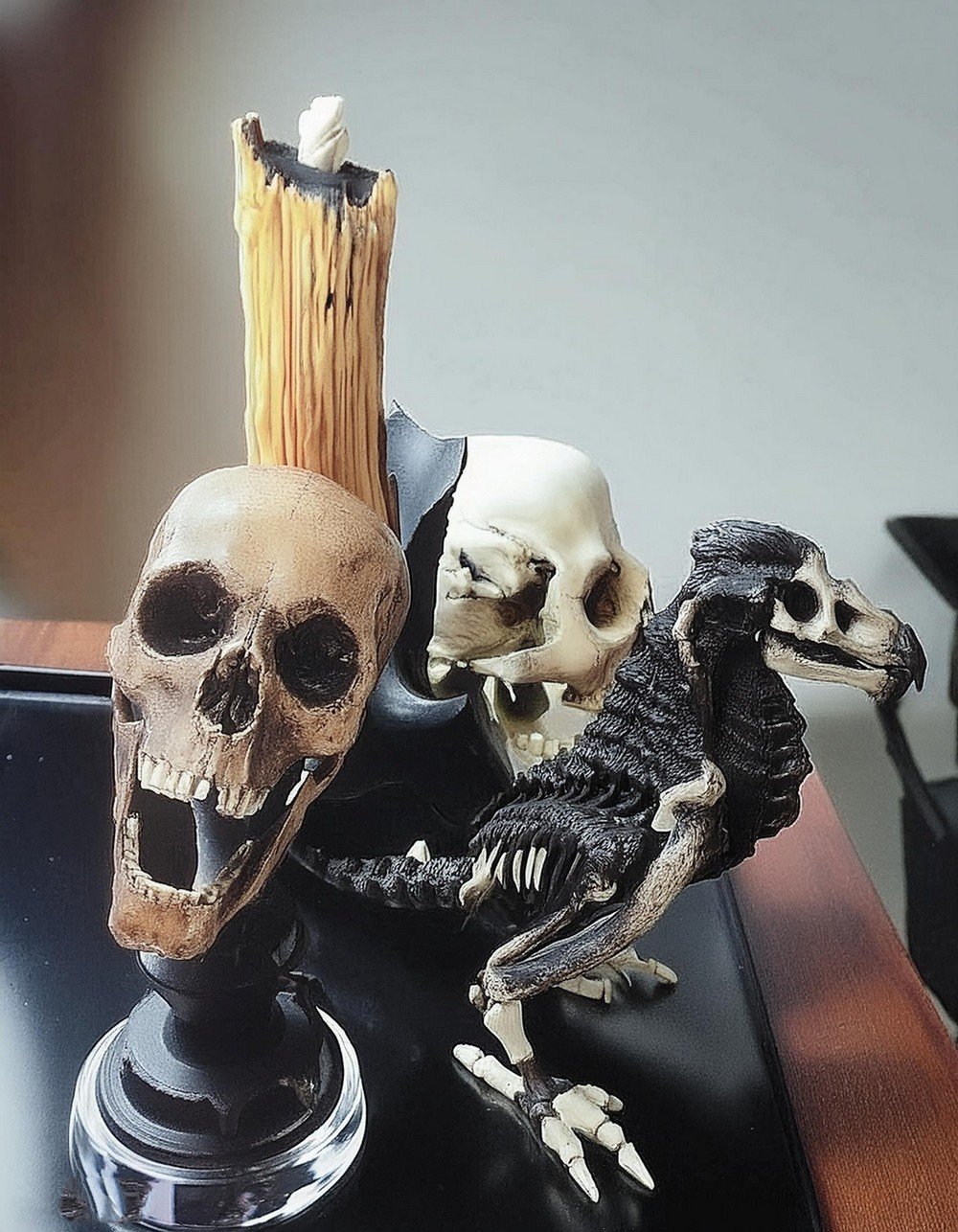 Large Skulls Surrounding A Noodle Candle