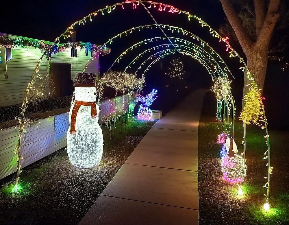 Make a Stunning Christmas Tree Tunnel for Your Driveway
