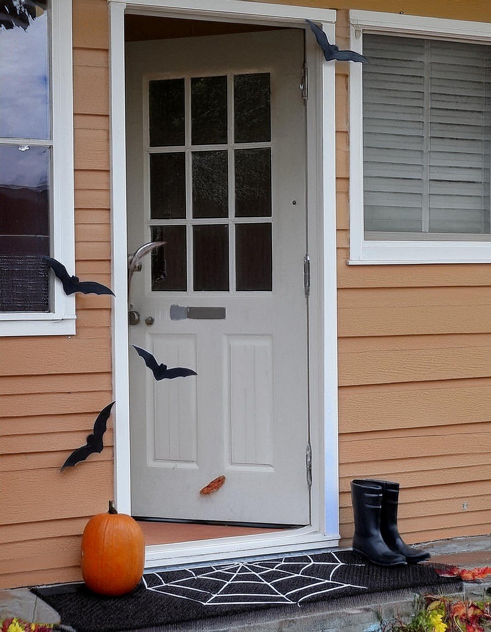 Spider Web Doormat