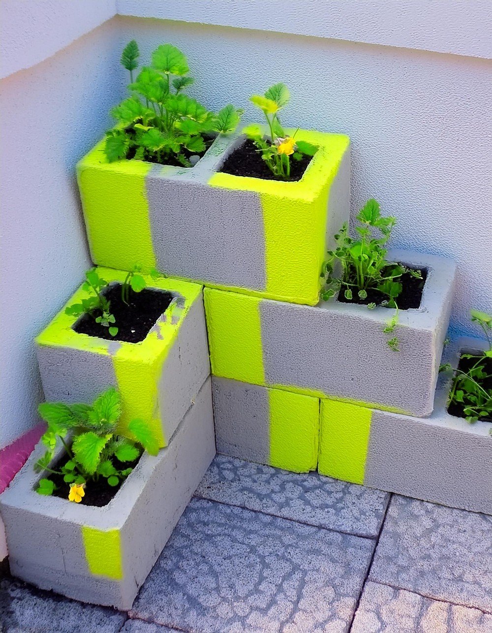 Build a DIY Cinder Block Planter