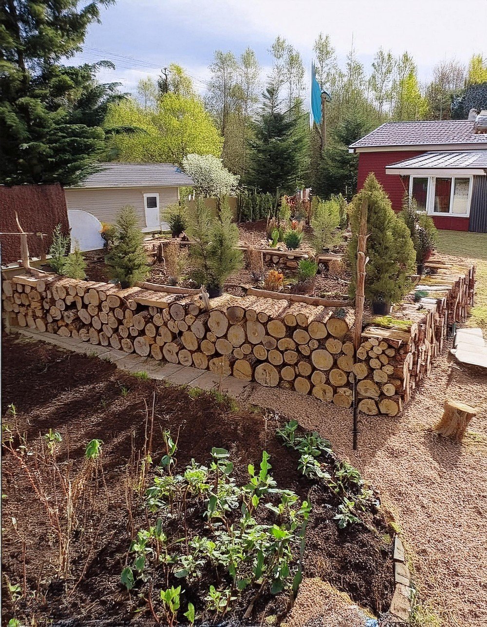 Create a Raised Garden Bed