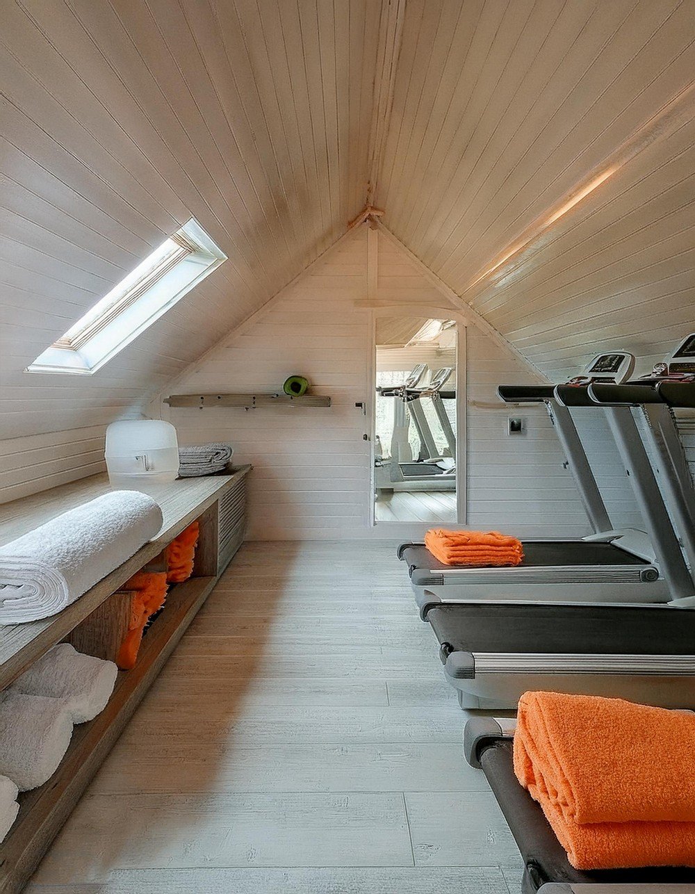 Contemporary Attic Gym